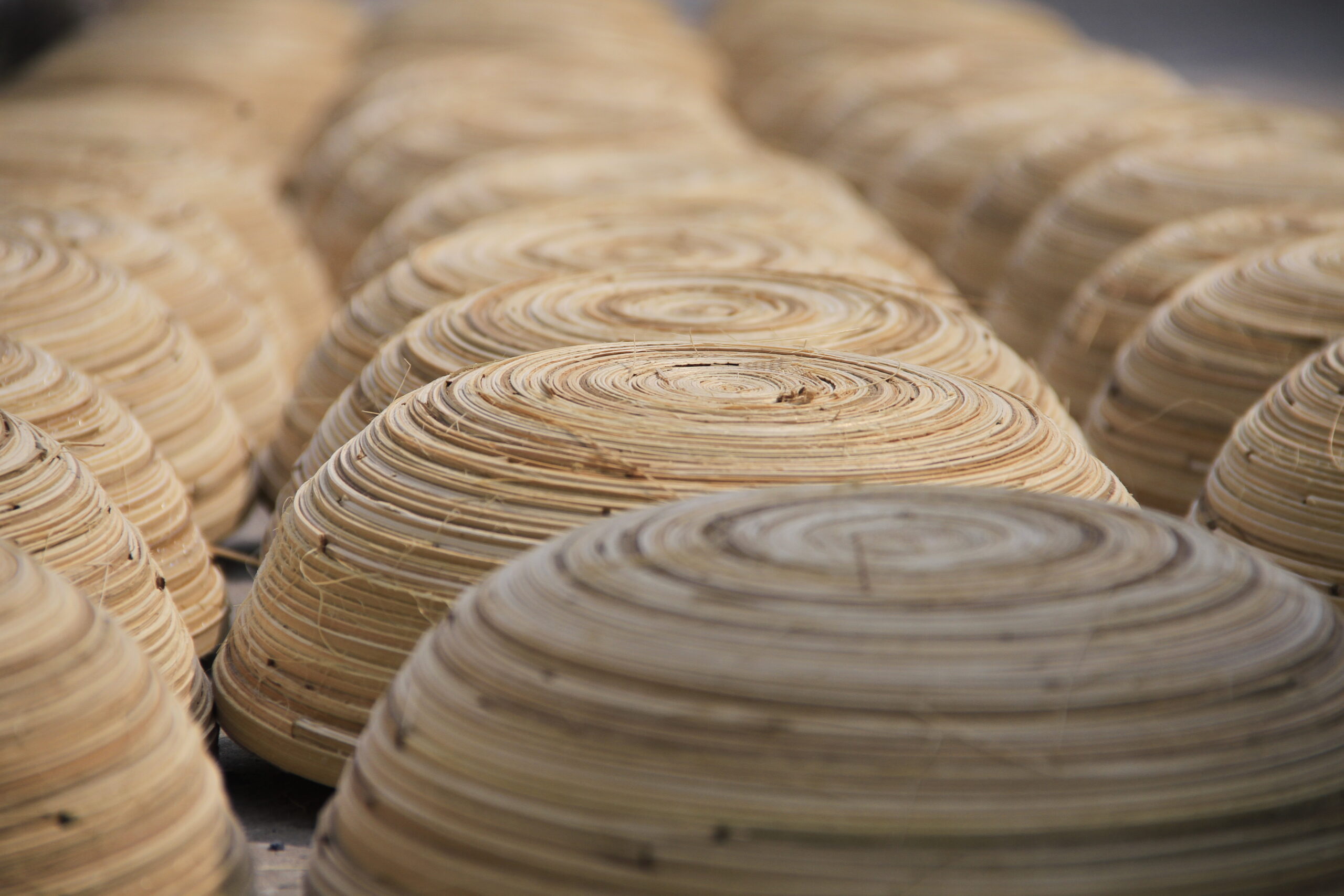 spun bamboo planning