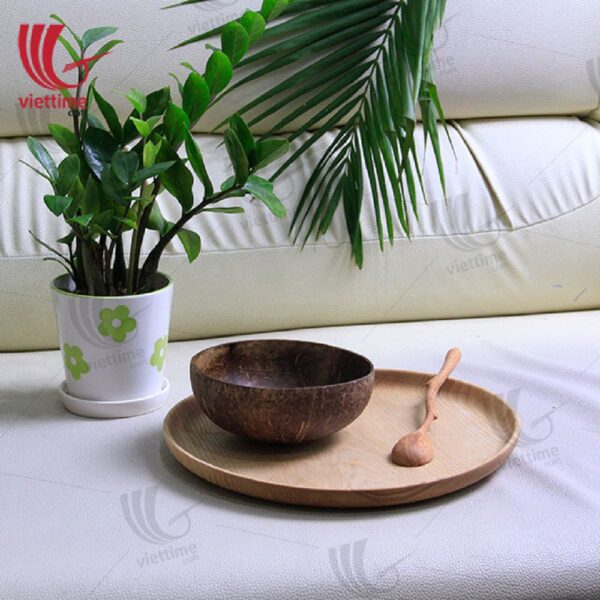 Natural Coconut Shell Bowls