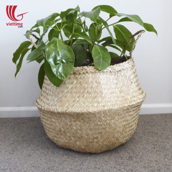 Natural Seagrass Belly Basket With Decor