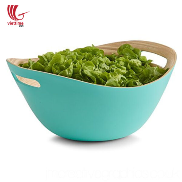Bamboo Salad Bowl With Handle