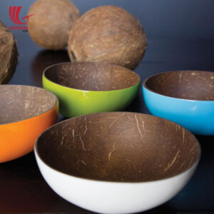 Colorful Lacquered Outside Coconut Bowls
