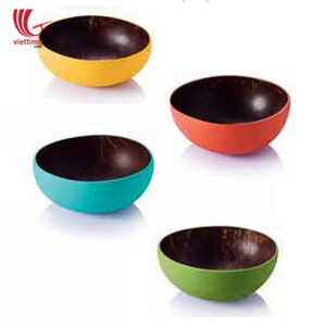 Colorful Lacquered Outside Coconut Bowls