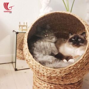Woven Water Hyacinth Cat Dome Bed