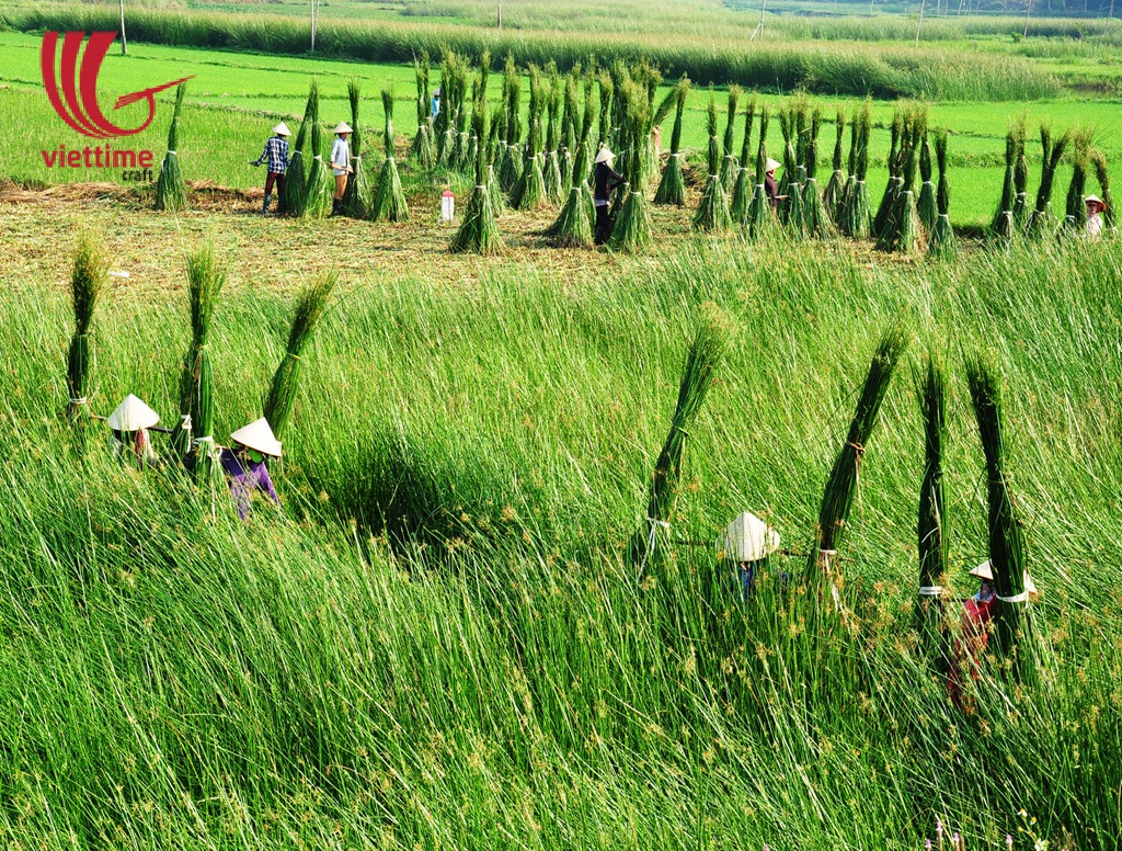 Festivals, harvest and impact on the Vietnam handicraft industry