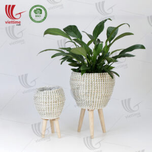 Seagrass Plant Stand sku C00523