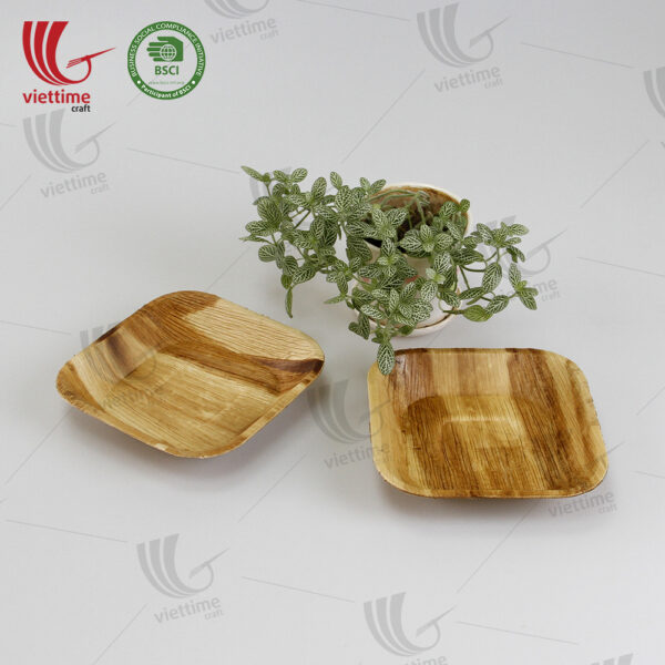 Collection Of Palm Leaf Disposable Tray