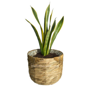 Water Hyaicnth Basket Planter