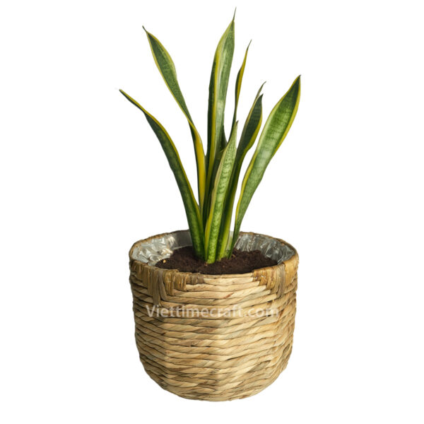 Water Hyaicnth Basket Planter