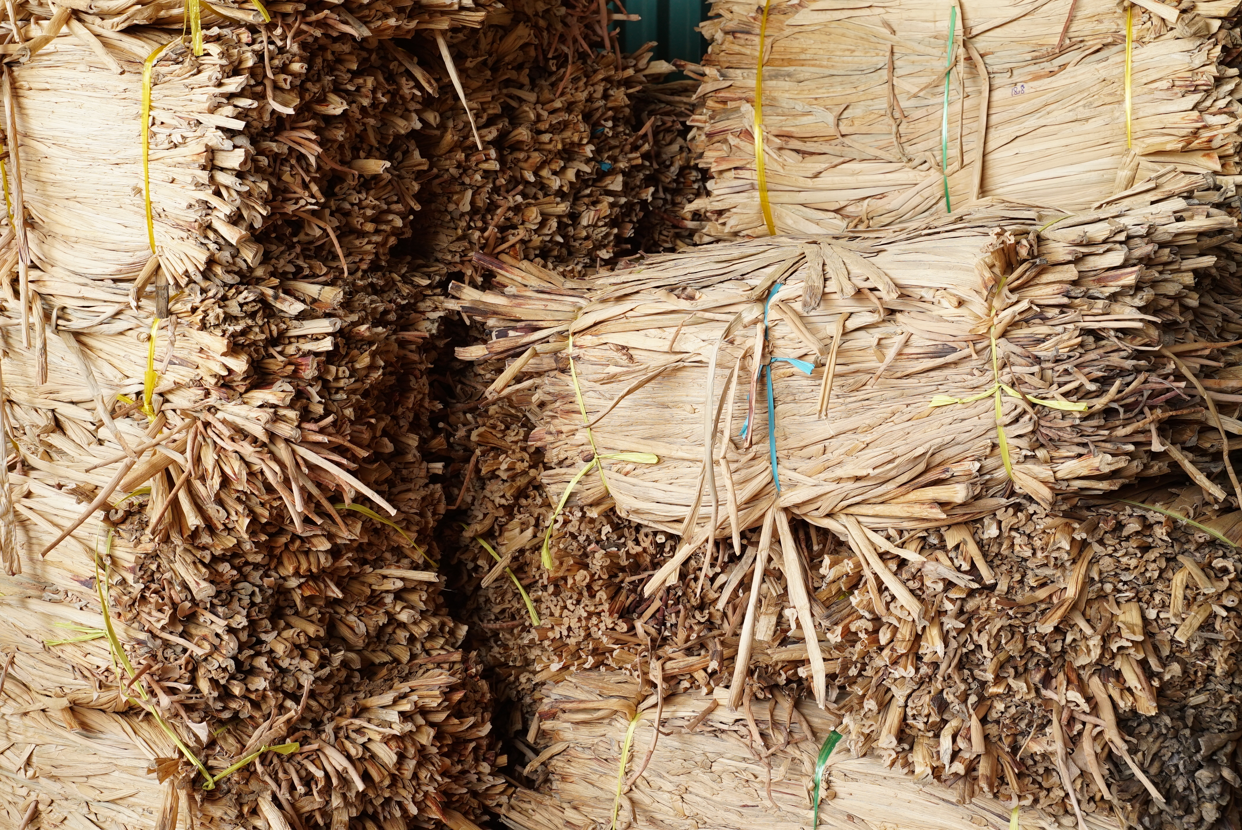 Water Hyacinth as raw materials I Viettimecraft