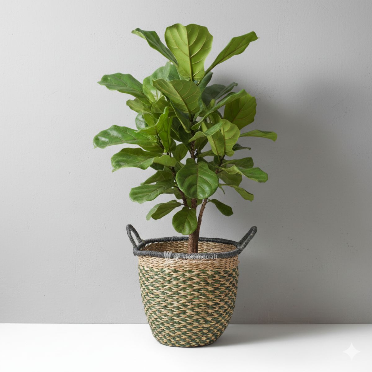 Seagrass Basket - C00792 I Viettimecraft