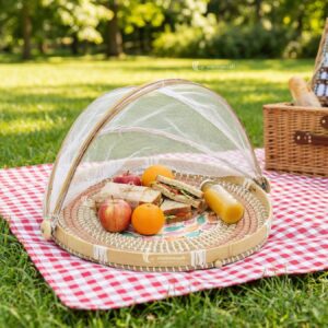 Mother of Pearl mix Wicker Tray with Dome Cover - KT0096 I Viettimecraft