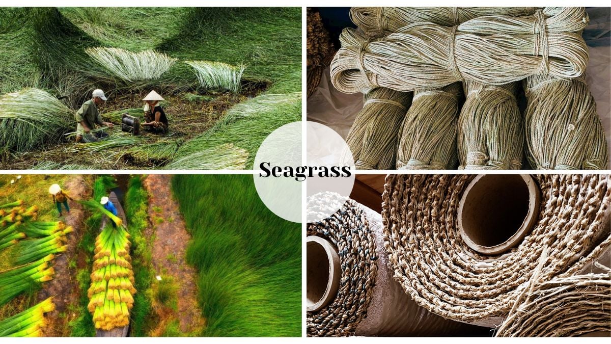 Sustainable seagrass mats crafted with expert manufacturing techniques