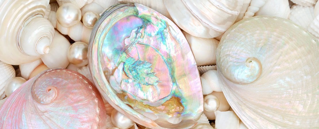 Mother of Pearl