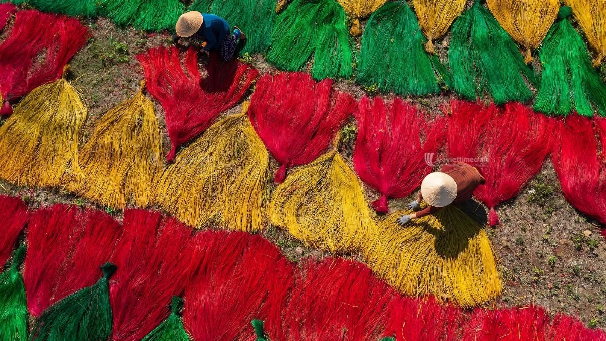 Vietnam manufacturer sourcing seagrass from multiple growing regions