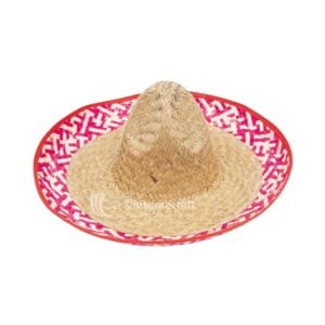 Vibrant Mexican Hat I Viettimecraft