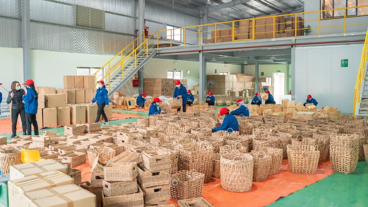Growing demand drives water hyacinth basket export performance