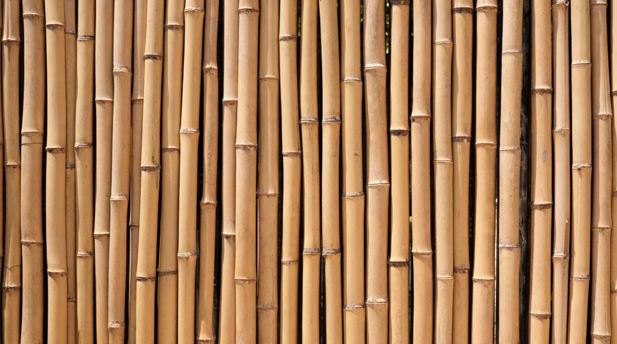 Commercial Value of Traditional Weaving Bamboo for Global Brands