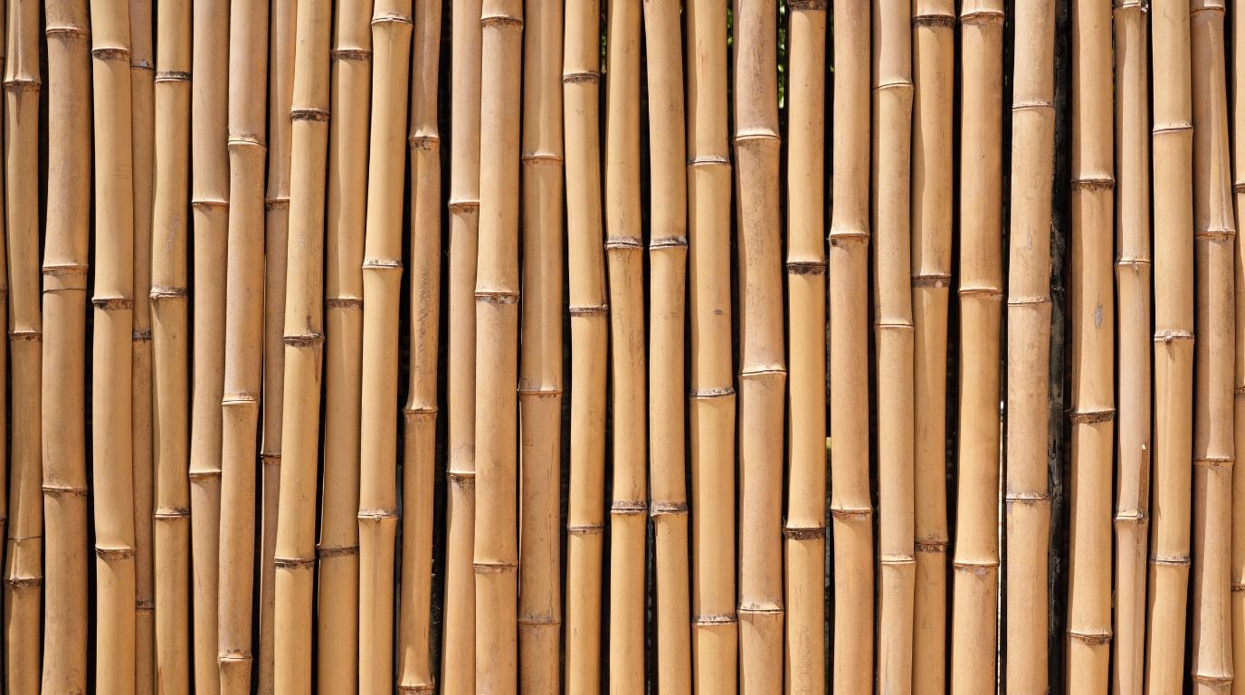 Vietnam Bamboo