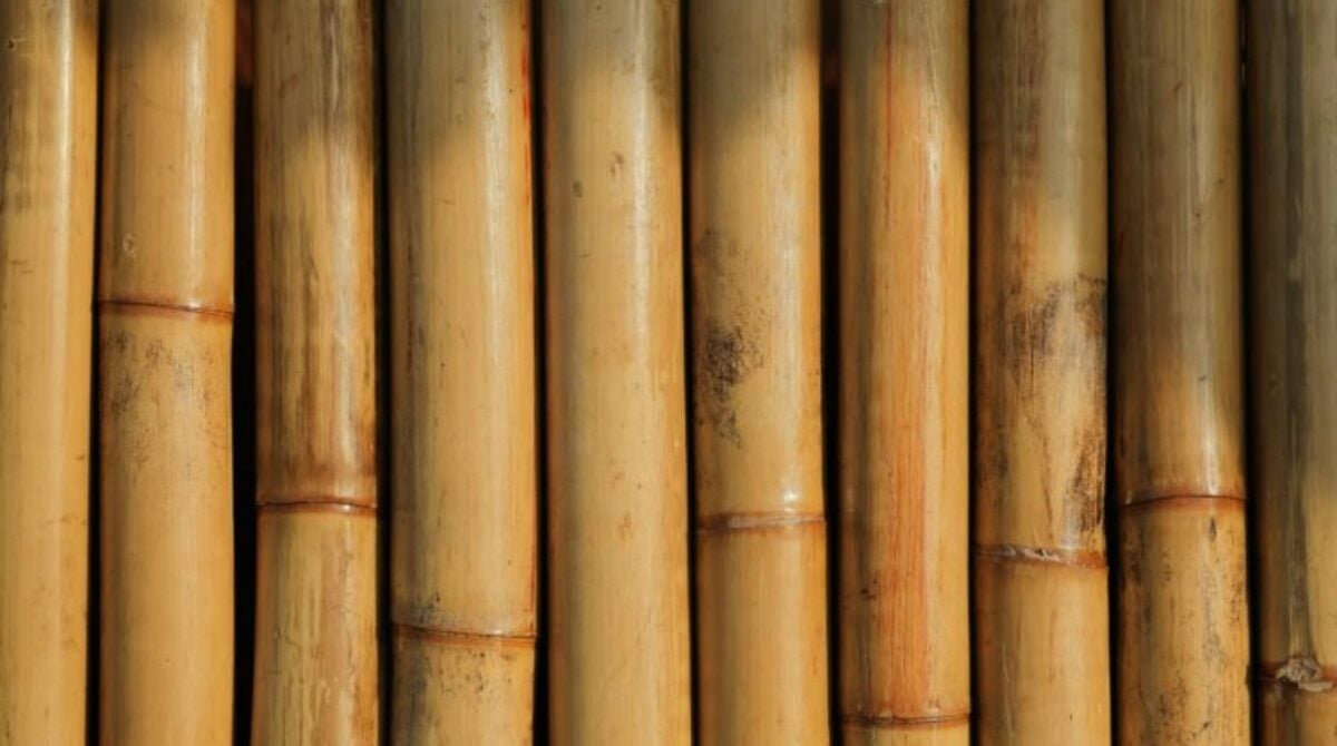 Vietnam Bamboo I Viettimecraft