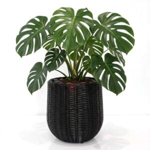 Premium PE rattan planter with woven finish and durable steel frame