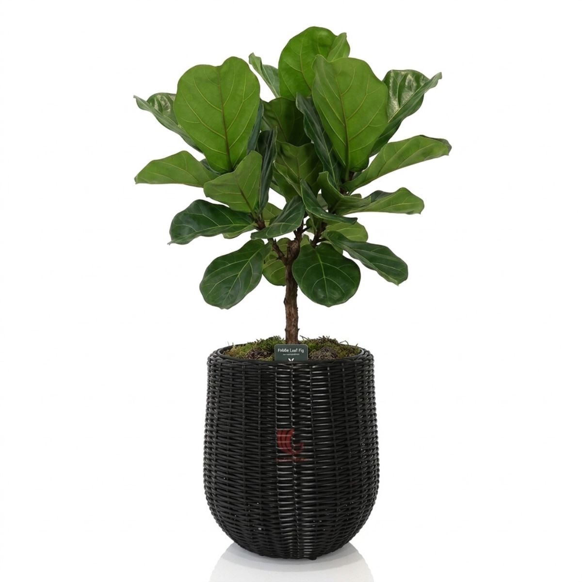 Black PE rattan planter handcrafted for modern home and garden decor